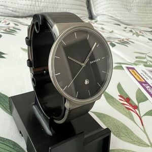 Men's Skagen Watch